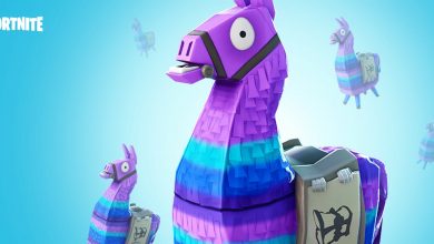 fortnite loot llama