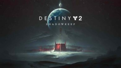 D2 Shadowkeep Hero hero