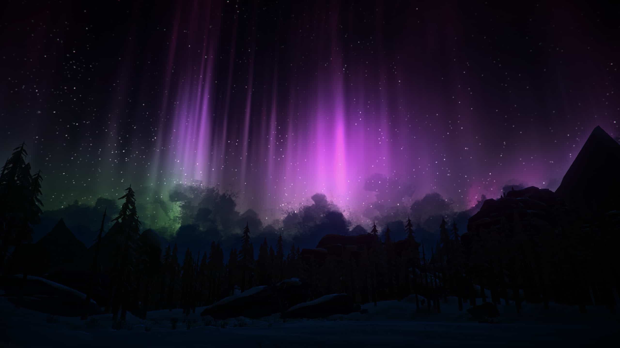 the long dark