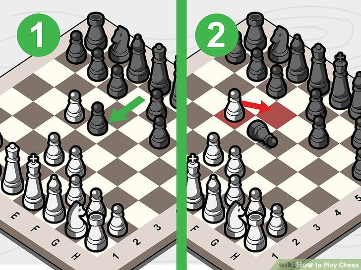 بازی شطرنج 13